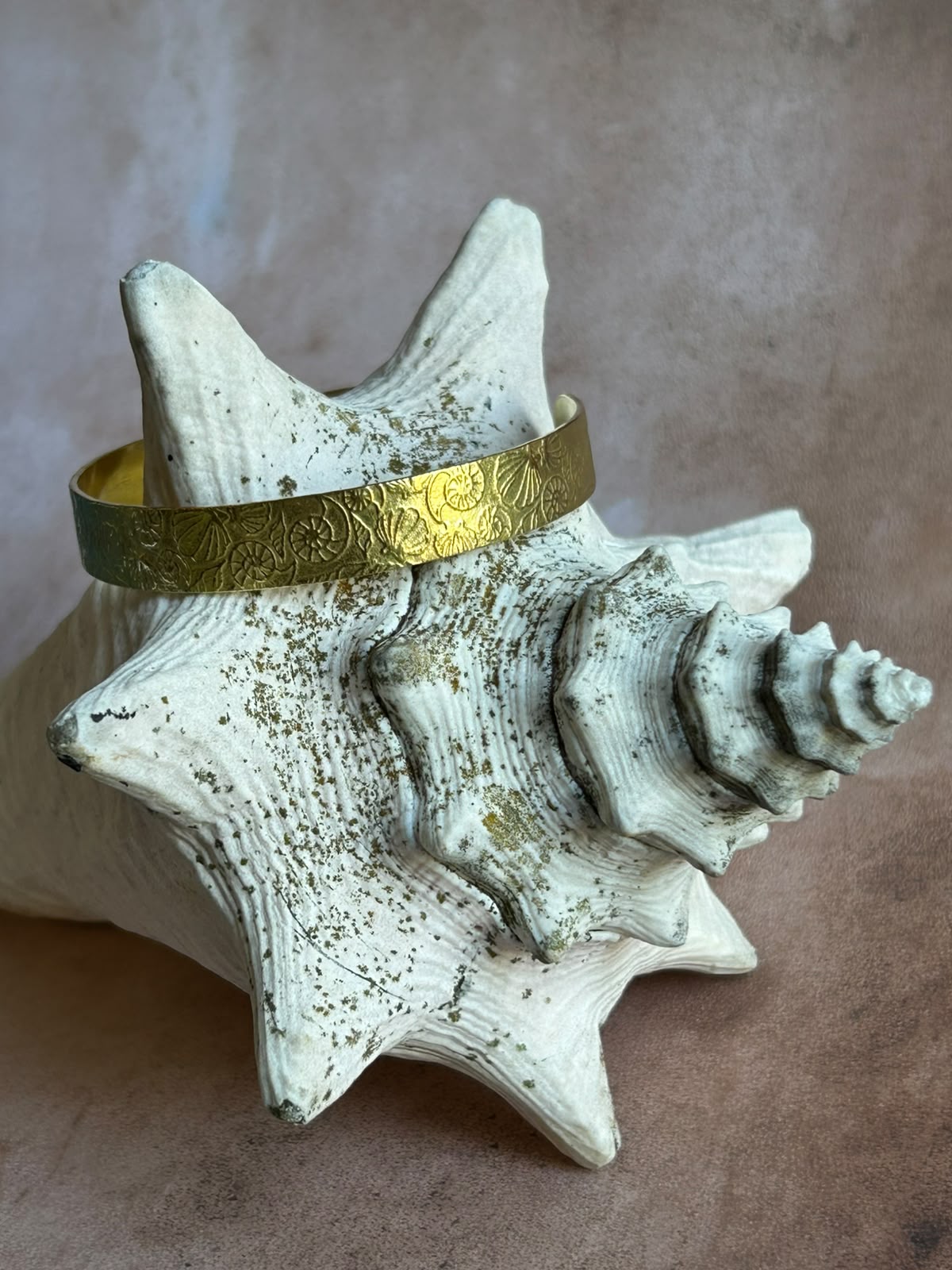 Brass Sea Shell Cuff